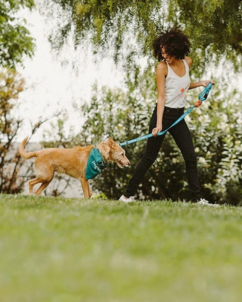 POURQUOI CHOISIR NOS FOURNITURES POUR ANIMAUX DE COMPAGNIE