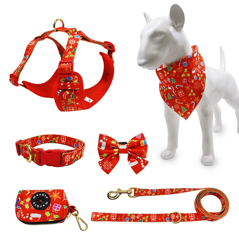 Lovely Puppy Harness Set