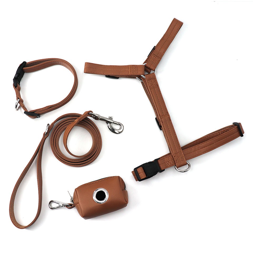 dog harness with leash