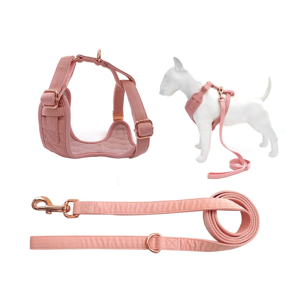 vivacious dog harness set