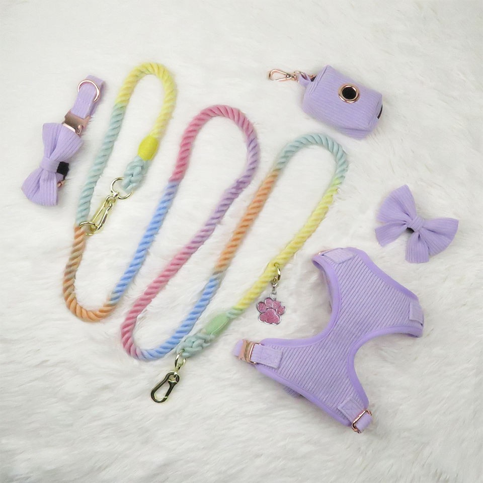 Rainbow pet leash