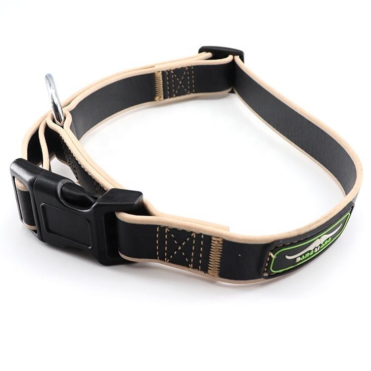 high-class puppy dog collar