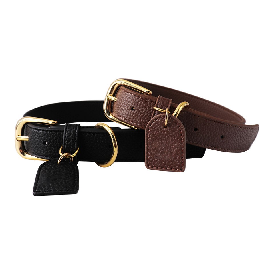 hiking dog collar