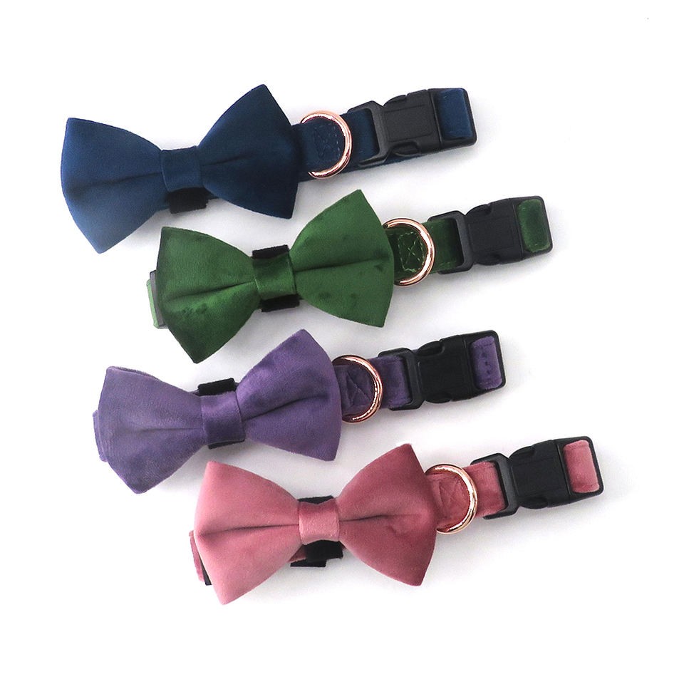 designer dog collars and bowties