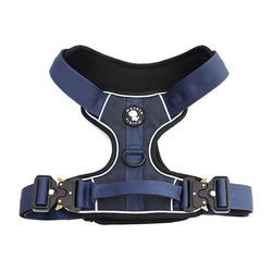 dog harness and leash