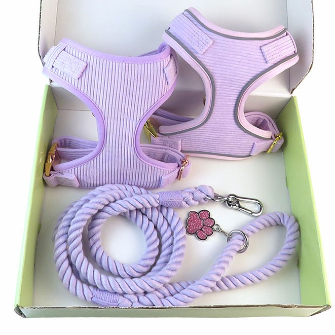 Reversible dog harness and leash