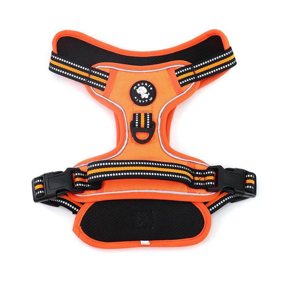 fashion dog lift harness