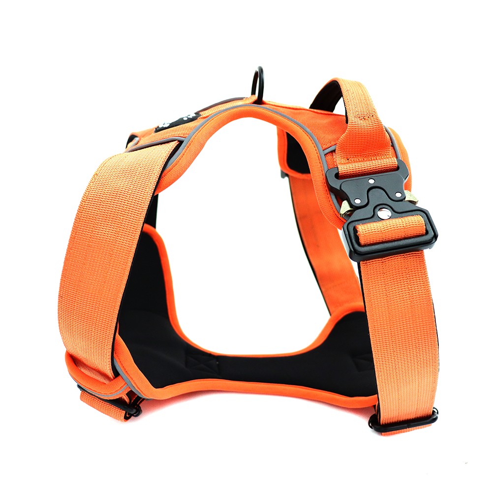 non pull dog harness