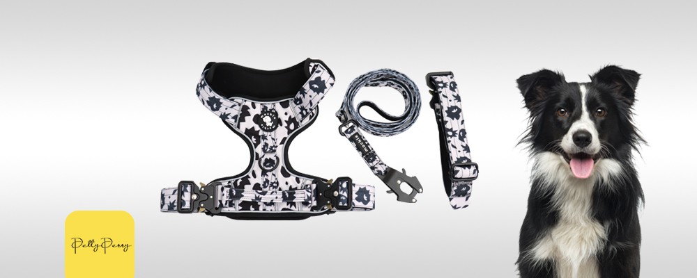 dog grooming harness