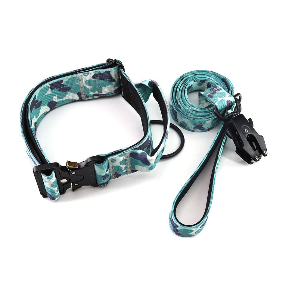 white dog harness