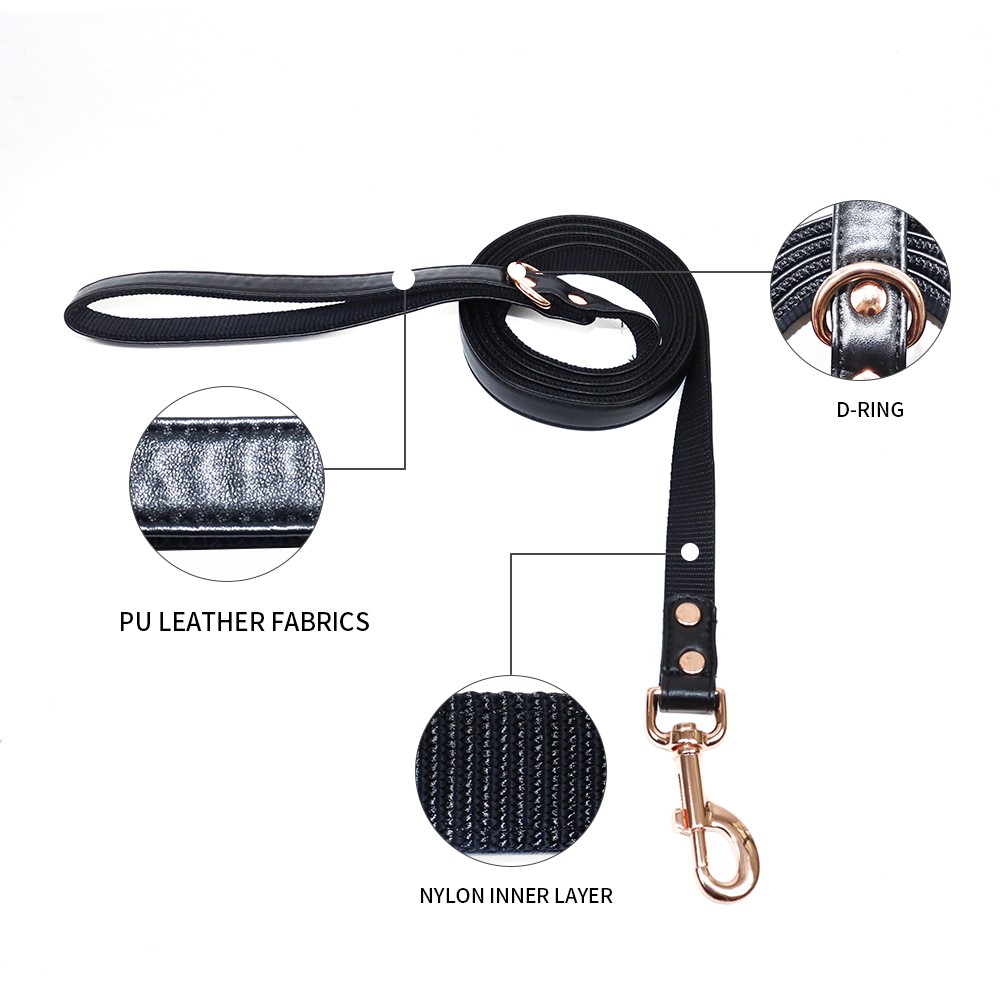 Pet leash particulars