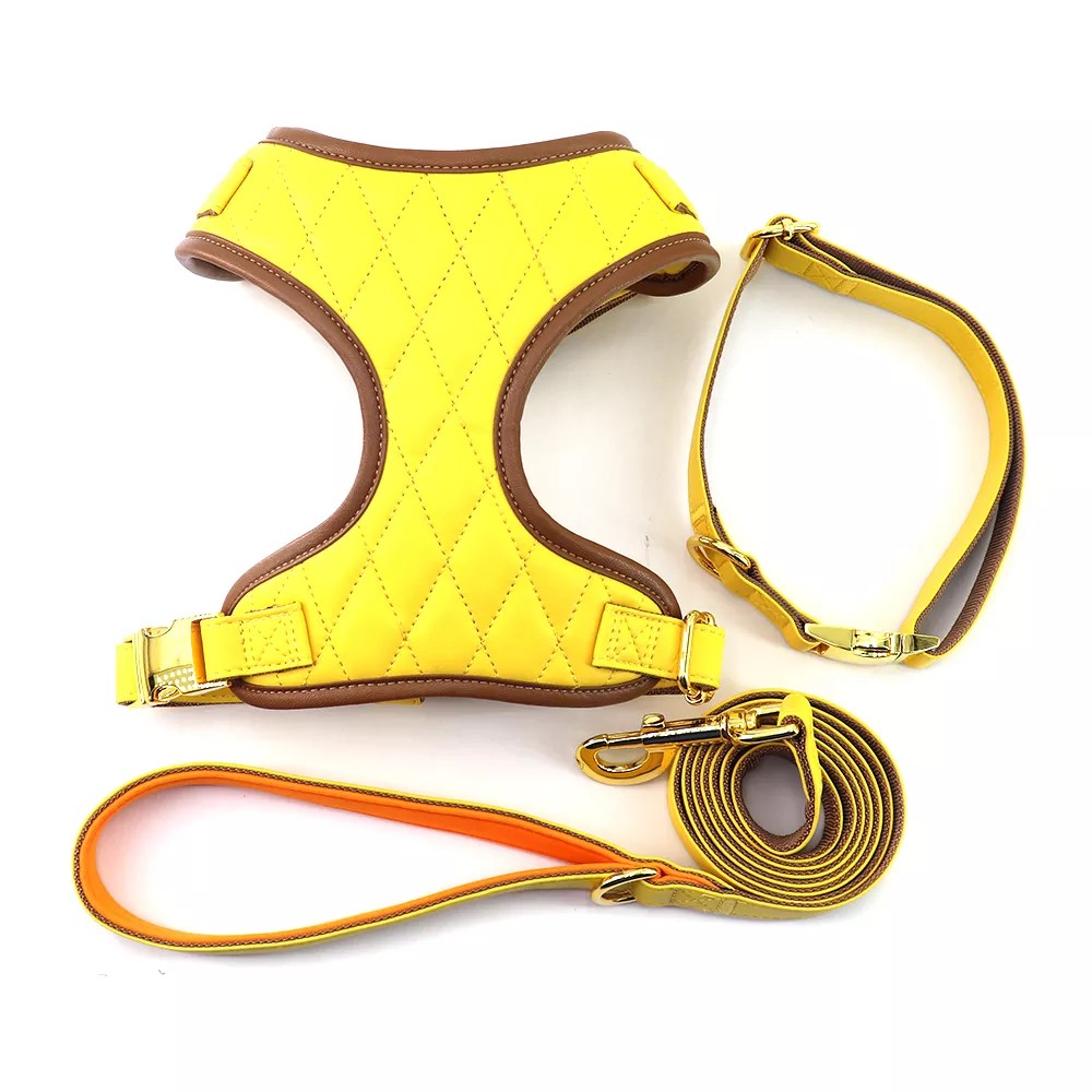 yellow dog harness