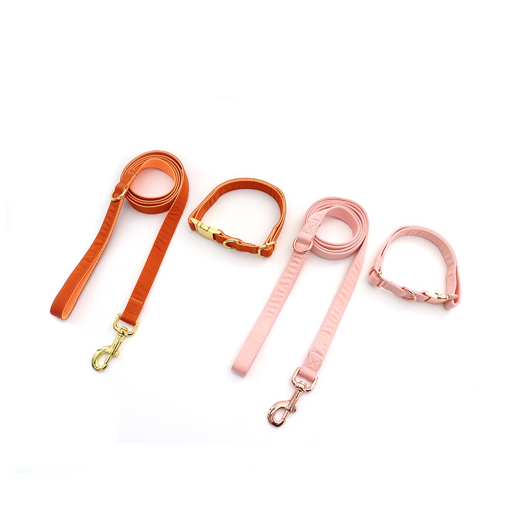 climbing rope dog lead