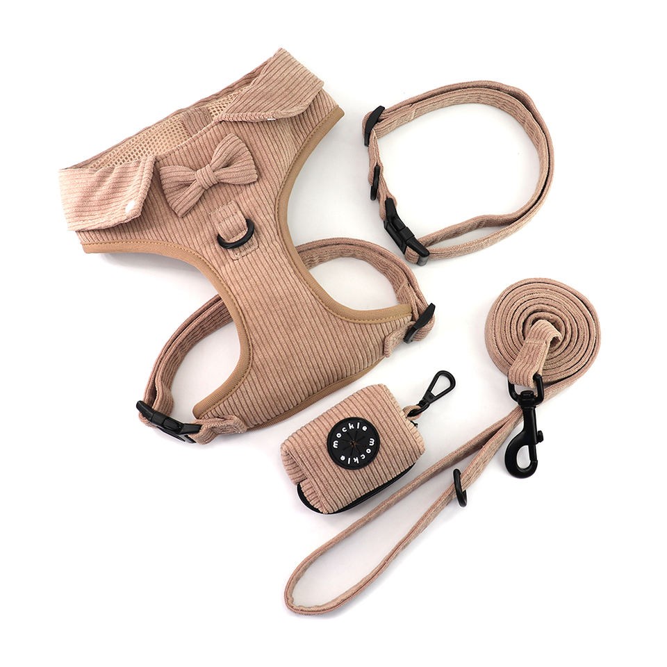 puppy harness and leash set