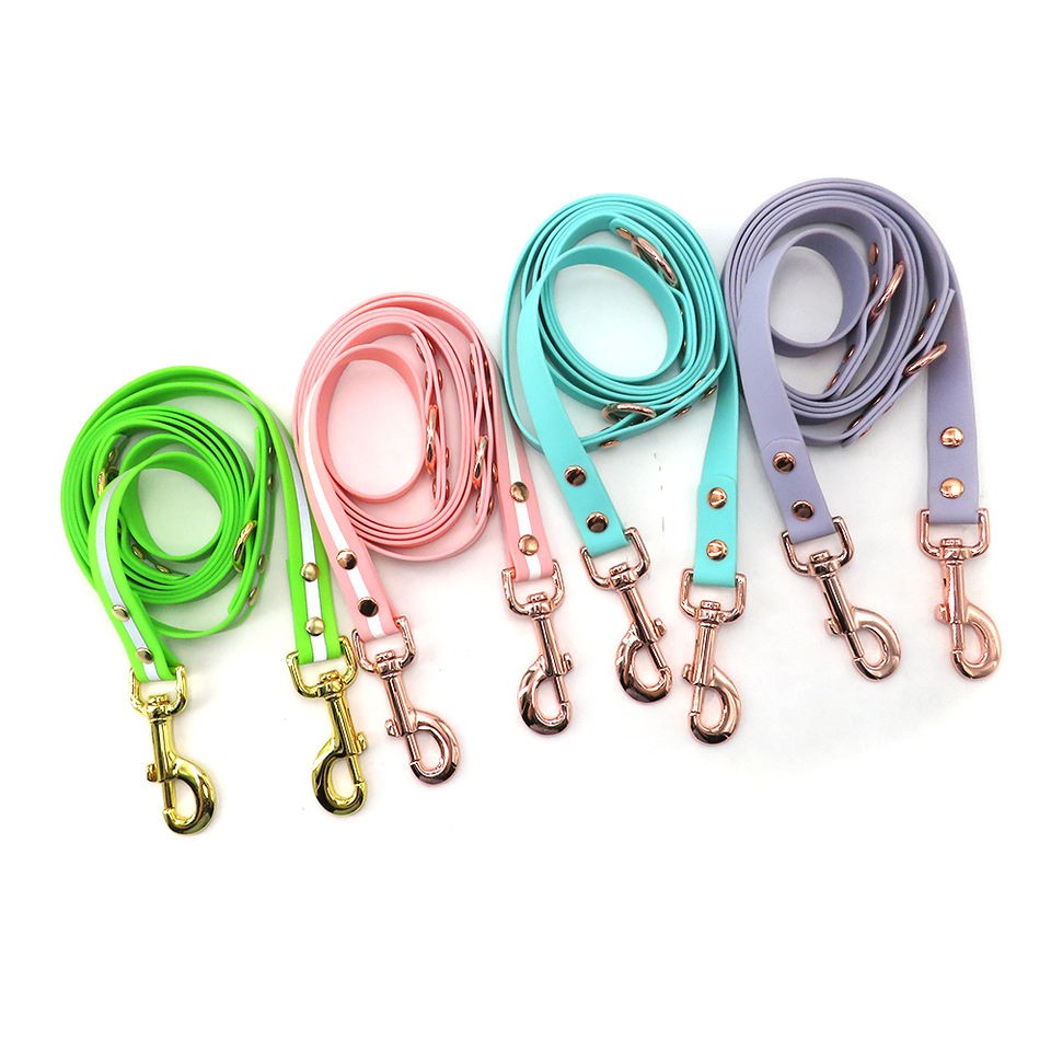 cool dog leashes